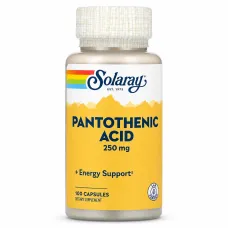 Solaray Pantothenic Acid 250mg - 100 caps